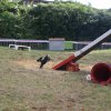 foire-haricots 2011-09-17et18